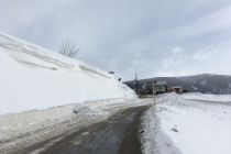 IMG_1454_ji.jpg