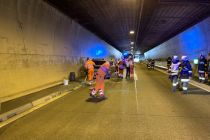 IMG_9350.JPEG